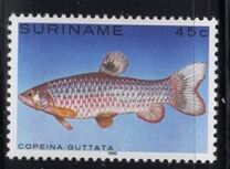 [Tropical Fish, type ANR]
