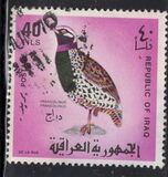 [Iraqi Birds, type GE]