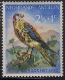 [Indigenous Birds, тип AQ]