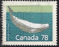 [Canadian Mammals, type AOK]