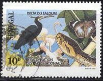 [Animals of National Parks, type ALH]