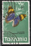 [Butterflies, type AP]