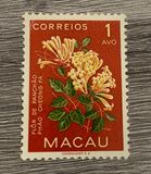 [Indigenous Flowers, type CI]