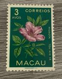 [Indigenous Flowers, type CJ]