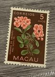 [Indigenous Flowers, type CK]