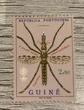 [Struggle against Malaria, type CD]