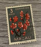 [Indigenous Flowers, type CQ]