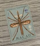 [Malaria Eradication, type DJ]