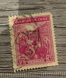 [Local Motives, Tipe CY]