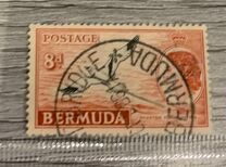 [Local Motives and Queen Elizabeth II, type BF1]