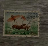 [The 15th Anniversary of the International Locust Eradication Service, tip GO]