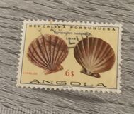 [Seashells, प्रकार LP]