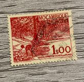 [Local Motives, Tip BO]