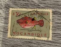 [Fish, type CD]