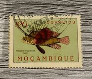 [Fish, type CB]