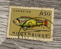 [Fish, type CH]