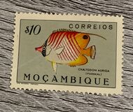 [Fish, type BZ]