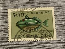 [Fish, type CL]