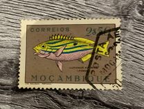 [Fish, type CJ]