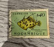 [Fish, type CE]