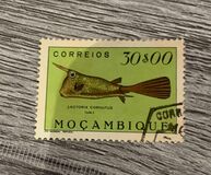 [Fish, type CV]