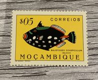 [Fish, type BY]