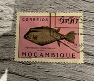 [Fish, type CR]