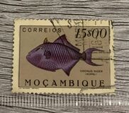 [Fish, type CT]
