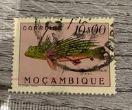 [Fish, type CS]