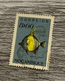 [Fish, type CQ]