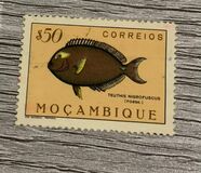 [Fish, type CF]