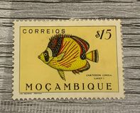 [Fish, ประเภท CA]