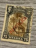 [Giraffe - Not Issued Stamps Overprinted "REPUBLICA", type J]