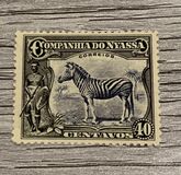 [Zebra, Tip Q1]