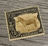 [Zebra, Tip Q]