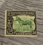 [Zebra, Tip Q2]