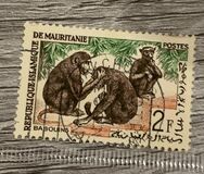 [Animals, type CO]