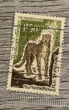 [Animals, type CN]