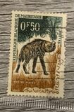 [Animals, type CL]