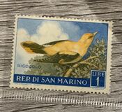 [Birds, type LG]