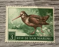 [Birds, type LI]