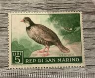 [Birds, type LK]