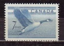 [Birds - Canada Goose, típus GD]