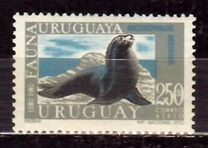 [Airmail - Local Fauna, tegund VW]