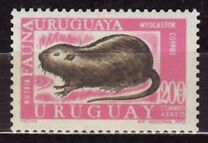 [Airmail - Local Fauna, tegund XW]