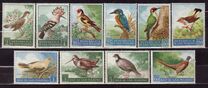 [Birds, type LG]