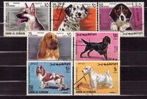 [Dogs, tegund HB]