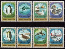 [Antarctic Exploration, típus ZWG]