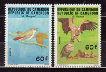 [Birds, प्रकार AAP]