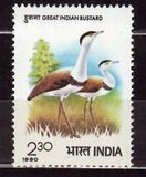 [International Symposium on Bustards, Juipur, ประเภท YP]